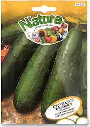 CUCUMBER SEED SHORT MARKETMORE 76- NATURA