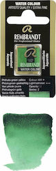 Royal Talens Rembrandt Watercolour Green
