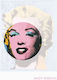 Andy Warhol : Phaidon Focus