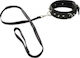 Vegan Fetish Vegan Fetish 100% Vegan Collar With leash Guler în Culoare Negru