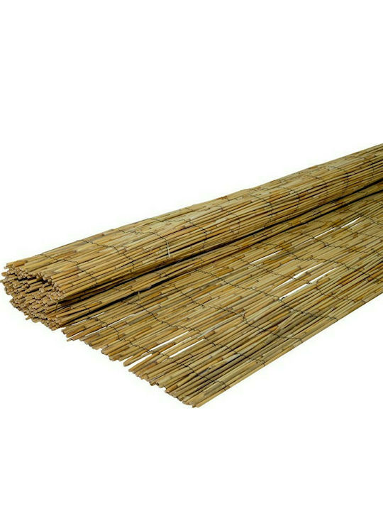 Polihome Καλαμωτή 250x250cm Gard de Bambus cu Întregul Reed 1x3m