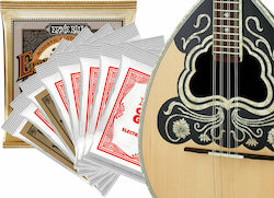 Ernie Ball CR8 Bouzouki Set Corzi Pentru Bouzouki Fosfor Bronz 10 - 28