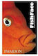 Fish Face
