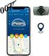 Starline Σύστημα Συναγερμού Αυτοκινήτου με GPS και καταγραφή μέσω κάμερας Scosche S9-GPS-007
