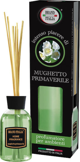 Brand Italia Diffuser mit Duft Frühlingslilie BR141-20 100ml