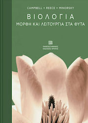 Βιολογία, Form und Funktion in Pflanzen