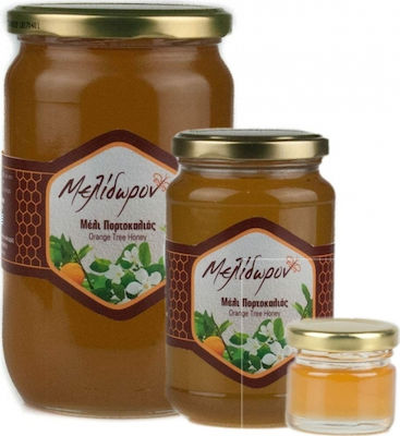 Μελίδωρον Honey Orange 30gr