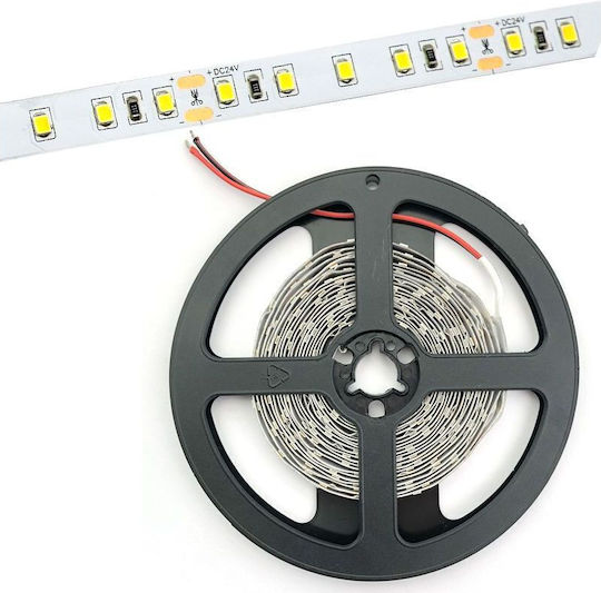Avide Ταινία LED ABLS12V2835-60CW20-4.8W 12V Ψυχρό Λευκό Φως 5m Τύπου SMD2835
