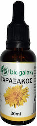 Biogalaxy Tinktur Tinktur Artischocke 30ml Biogalaxy Tinktur Tinktur Artischocke 30ml