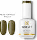 Bluesky Semi-Permanent Nail Polish Move Forward 2114P 15ml 1pcs