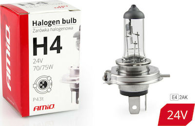 AMiO Lămpi Autoturismului H4 Halogen 24V 75W 1buc