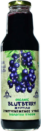 HealthTrade Био Сок Blueberry Без захар 750мл 1pcs SIR09