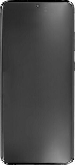 Samsung Οθόνη ohne Frontkamera mit Touch-Mechanismus und Rahmen für Galaxy S20 Ultra (Schwarz)