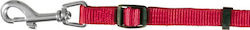Trixie Hundeleinen und -führungen Riemen Classic 15mm Roter 1,80m