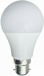 Eurolamp LED Bulb 6W for Socket B22 Cool White