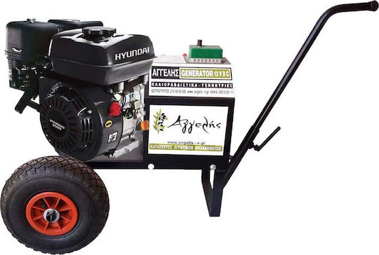 Agelis Roată Generator Recoltare Măslini cu Motor Huyndai 650QOF și Dinam 70A