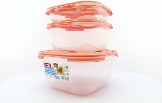 Cyclops Fresco Set Plastic Lunch Boxes Fuchsia 3 Pieces