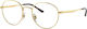 Ray Ban Metallic Gold Frame RB3681V 2500