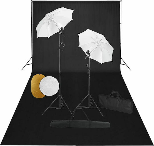 vidaXL Kit Foto- und Videobeleuchtungsset mit 2 Leuchten 24W 5500K mit Stativ
