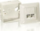 Equip E-Class Διπλή Εξωτερική Πρίζα Δικτύου RJ45 Τύπου Cat6 σε Λευκό Χρώμα 125761