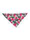 AGC Dog Bandana Dog Bandana Cat-Watermelon 40x30x30cm