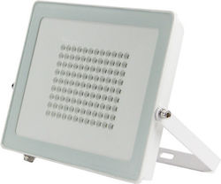 Lucas Waterproof LED Floodlight 50W 4000K