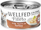 Pet Interest Filleto Pure Υγρή Τροφή για Ενήλικες Γάτες σε Κονσέρβα με Γαλοπούλα 70gr