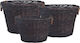 vidaXL Metalic Coș Depozitare lemne 60x60x38cm Maro