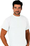 Men's Undershirts