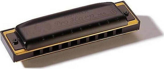 Hohner Διατονική Φυσαρμόνικα Proharp 562/20 Τονικότητας E (Mi) Ματζόρε