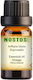 Nostos Pure Αιθέριο Έλαιο Πορτοκάλι 10ml