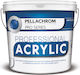 Pellachrom Professional Acrylic Plastic Acrilyc Paint for Exterior Use White 750ml