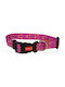 Pet Interest Motivo Dog Collar Rosa Small 16mm x 22 - 40cm