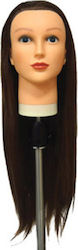 Various Educational Doll