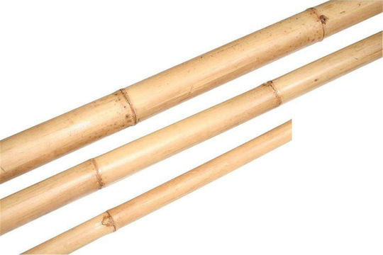 Atmosphera Bamboo für Gartenzaun aus Bambus 210x5x5cm 1Stück