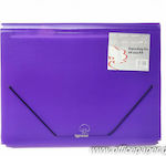 Typotrust Clipboard Flexible with 13 plastic sleeves Slides Accordion for Paper A4 Purple 1pcs