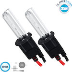 GloboStar Lamps Motorcycle H3 Xenon 6000K Cold White 24V 35W 2pcs