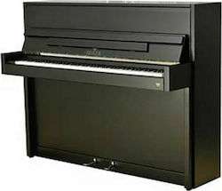 Seiler 116 Ritmo Acoustic