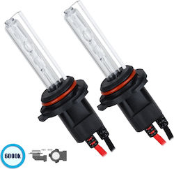 GloboStar Lamps Motorcycle HB3A Xenon 6000K Cold White 24V 70W 2pcs