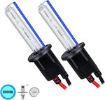 GloboStar Lamps Car & Motorcycle H1 Xenon 8000K Cold White 24V 70W 2pcs