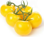 Agrogen F1 Semințe Tomateς 20buc