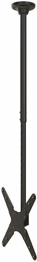 Neomounts FPMA-C340BLACK Fernsehhalterung Decke mit Arm bis 75" und 50kg