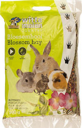 Witte Molen Χόρτα για Τρωκτικά Blossom Hay 500gr