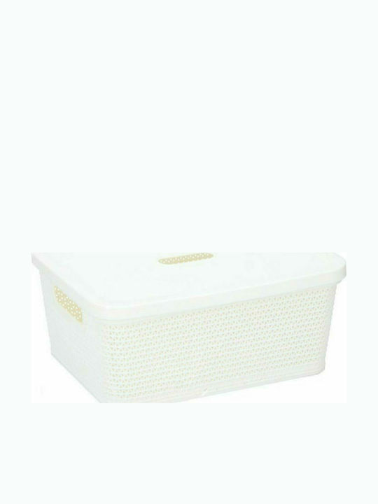 Plastic Storage Box with Lid White 24.7x19.2x10.4cm