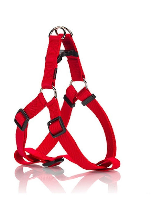 Pet Interest Σαμαράκι Σκύλου Type A Κόκκινο Medium 20mm x 40 - 60cm
