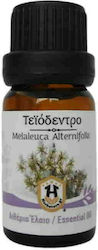 Herbstore Αιθέριο Έλαιο Tea Tree 10ml