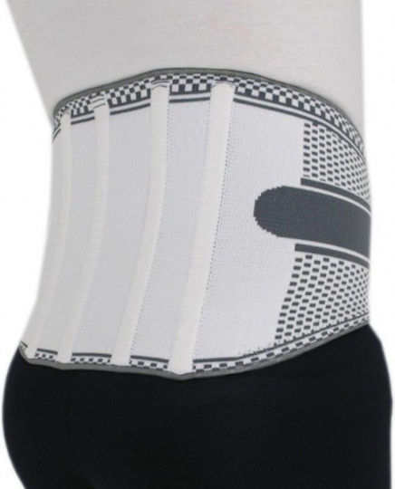 Adco 04484 Back Brace For Pain Relief with Stays Height 28cm in Gray Color