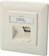Digitus Μονή Πρίζα Δικτύου RJ45 με Πλαίσιο σε Λευκό Χρώμα DN-9007-1