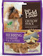 Sam's Field Crunchy Herring with Parsnip & Cloves Dog Treat Diet Grain Free with Vegetables 200gr F100640