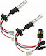 Carman Lamps Car H7 Xenon 8000K Cold White 2pcs